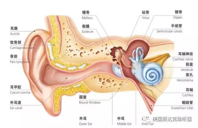 青岛助听器