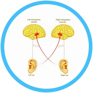 �ൺ������������