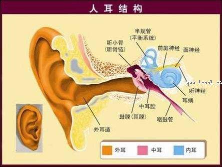 �ൺ������