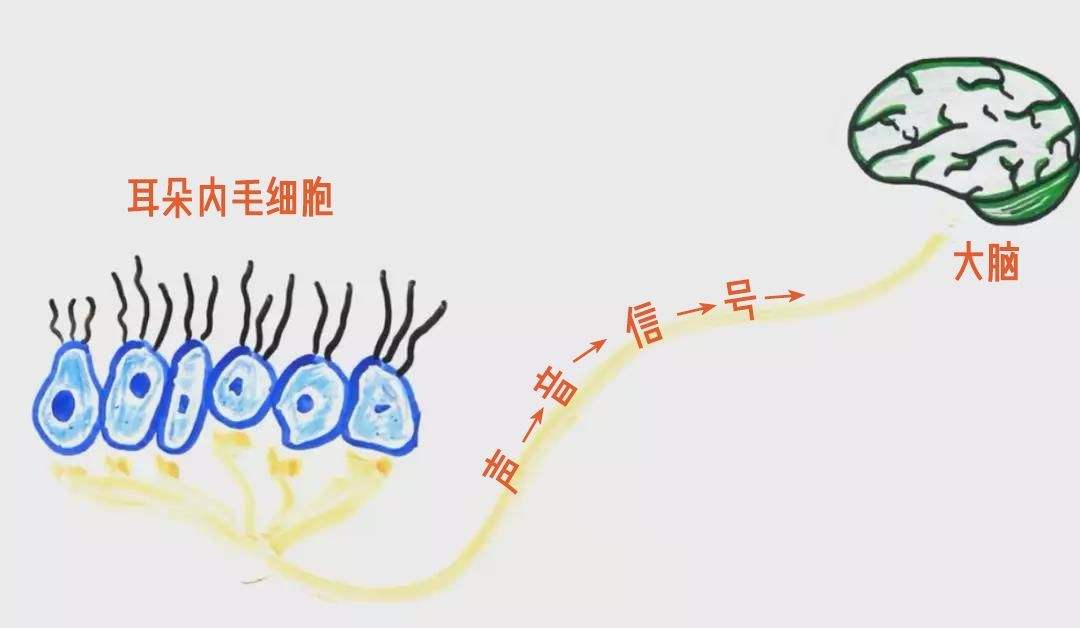 青岛助听器 青岛助听器