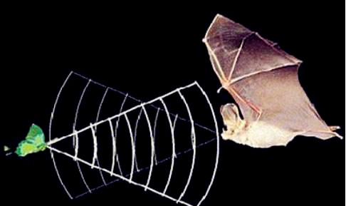 �ൺ������