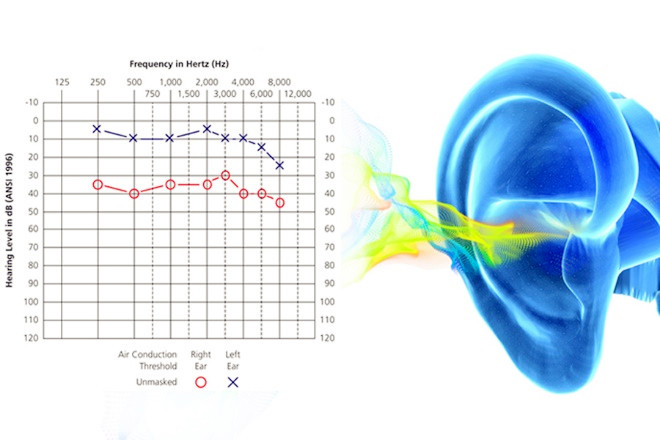 �ൺ������