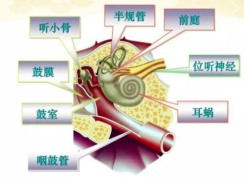 �ൺ������