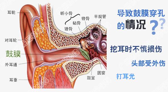 �ൺ������