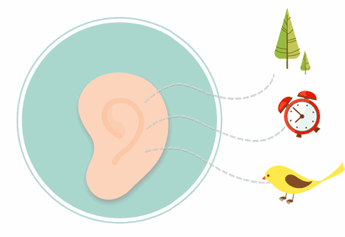 �ൺ������