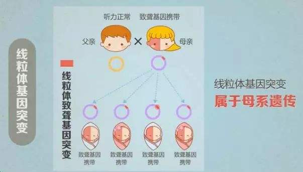 �ൺ��ͯ������